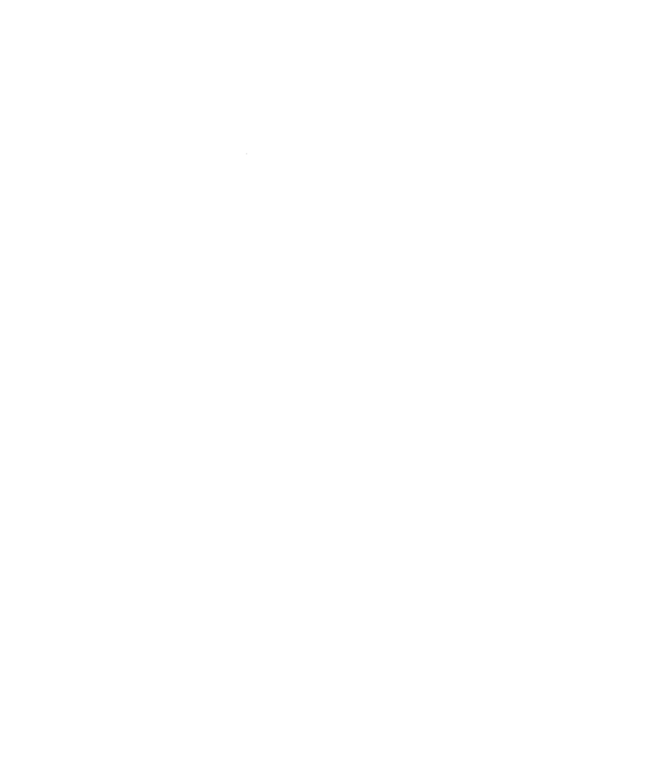 NANO GO